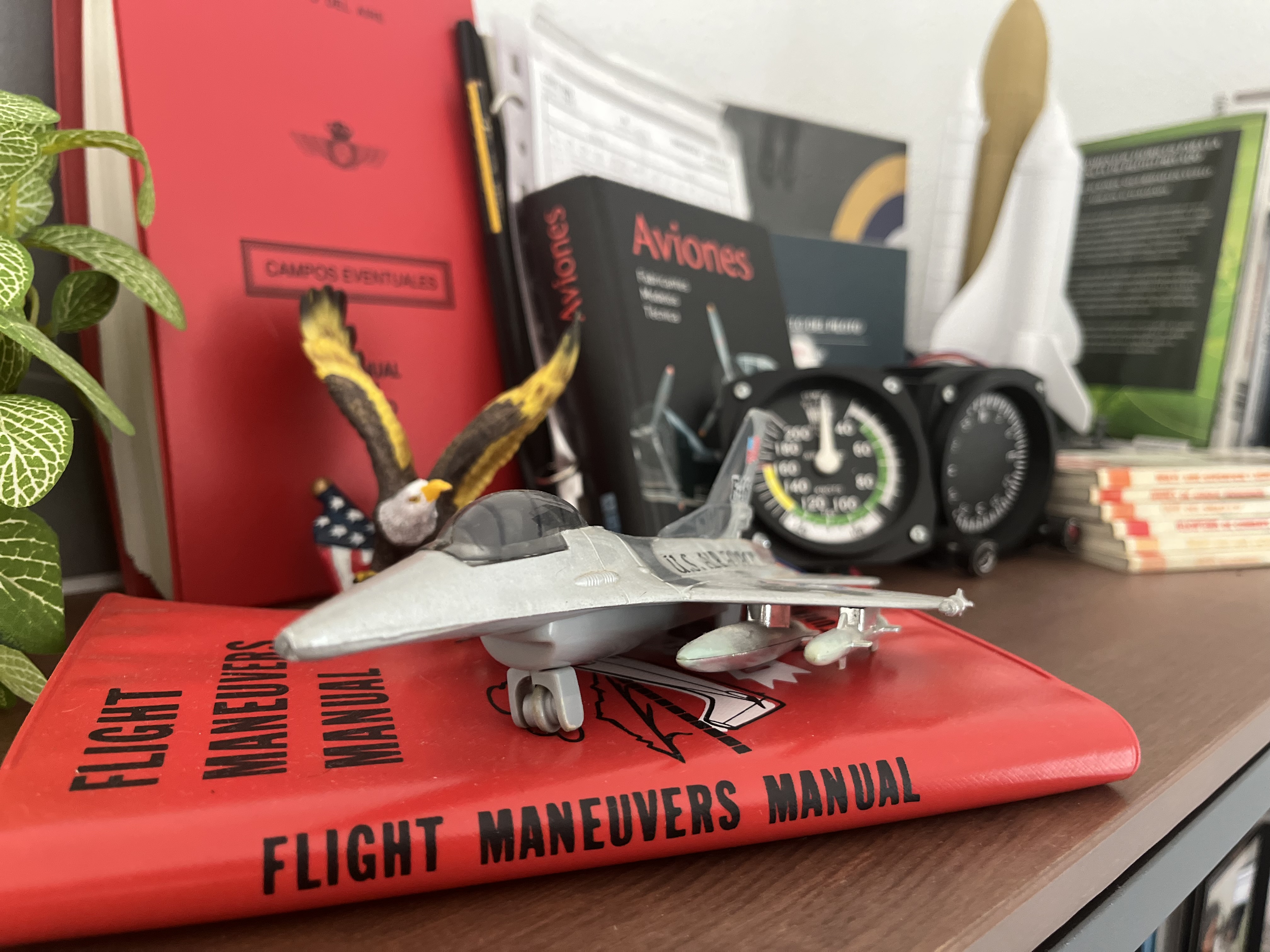 A small F-16 model. This is a childhood gift from my grandmother.
